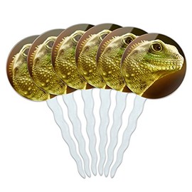 Set of 6 Cupcake Picks Toppers Decoration Reptiles Lizards Snakes Frogs - Asian Water Dragon Green Lizard Reptile