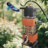 Squirrel Proof Bird Feeder,3Lbs Metal Birdfeeders Squirrel Proof with 4