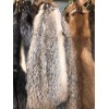 Badger Hide Tanned Taxidermy Cabin Decor