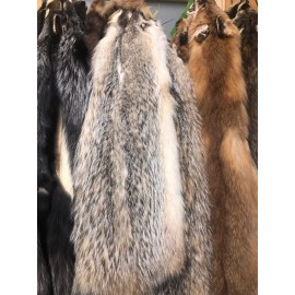 Badger Hide Tanned Taxidermy Cabin Decor