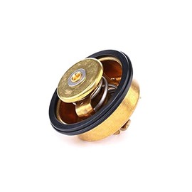 RIDEX Thermostat + Gasket