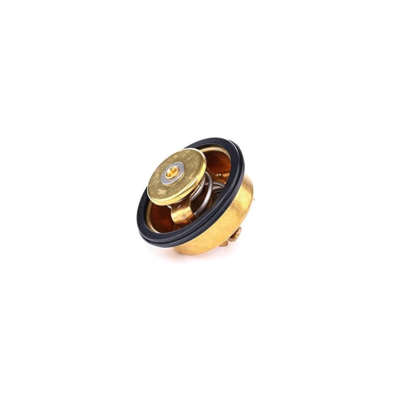 RIDEX Thermostat + Gasket