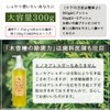 [Genuine Product] Kiso Cypress Toothpaste Gel, Abrasives, Foams, Preservatives, and