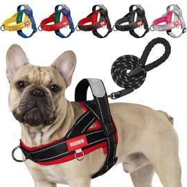 LiebeDD Dog Harness with Lead for Medium Small Dogs Puppies, Colourful Colour Block Harness, Soft Padded Safety Harness Dog with Handle, Reflective & Lightweight, Black + Red, M
