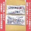 Cute Mask Par Avion Palabion Design Mask Made in Japan!