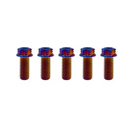 RISON Titanium Bolts M6*1.0 * 18 Torx Titanium Bolts for Motorcycles Hex Head Dual Drive Burnt Blue Titanium Flange Bolt Pack of 5