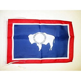 Wyoming Flag 18'' x 12'' cords - US state of Wyoming SMALL flags 30 x 45cm - Banner 18x12 in - AZ FLAG