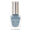 Canmake Colorful Nails N85 9PM, 0.3 fl oz (8 ml),