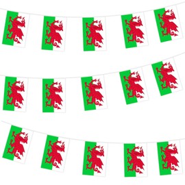 Wales Bunting Flag Hanging Flag for World Cup 2022 10m/32ft Rectangle Fabric Wales Flag Banner, Outdoor Indoor Bar Bunting for World Cup Qatar 2022 Decorations Party Supplies