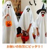 DINETTE Ghost Cosplay with Pumpkin Bag (Ghost Cosplay with Pumpkin