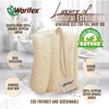 Waritex Premium Natural Egyptian Loofah Sponges, Made from 100% Natural