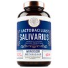 WINDSOR BOTANICALS Lactobacillus Salivarius Probiotic Capsules - L Salivarius Probiotic