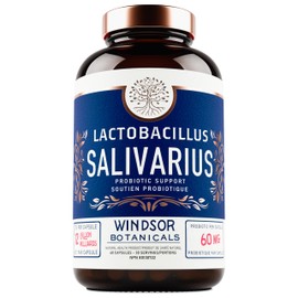 WINDSOR BOTANICALS Lactobacillus Salivarius Probiotic Capsules - L Salivarius Probiotic Oral Dental Probiotics for Bad Breath, Teeth and Gums Health - Immune Support, Digestive Probiotic - 24bn CFU Per Serving, 30 Servings