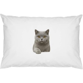 Azeeda 2 x 'British Shorthair Cat' Cotton Pillow Cases (PW00044324)