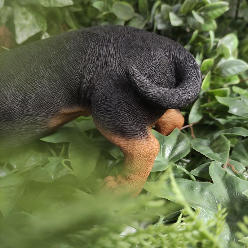 Vivid Arts - AP-DACH-D Active Puppy Dachshund Ornament