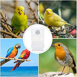 Alipis - Jaula de periquitos automática, alimentador de pájaros, recipiente de comida transparente, platos de loro, cacatúas, dispensador de alimentos para pinzones canarios, cotortolitos, 2 unidades, dispensador de agua para pájaros
