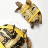 Laroal Pet Turtle Leather Harness for Turtles Walking Rope Turtle