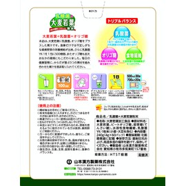 山本漢方製薬 乳酸菌大麦若葉粉末 4g×60包