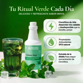 Nature Sunshine Chloro Feel Clorofila Líquida 473ml Menta