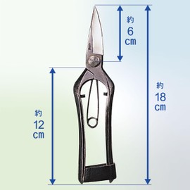Kinboshi 2501 Venus Pruning Bud Shears, 7.1 inches (180 mm), B.P Included