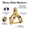 QQPETS Dog Harness Leash Set, Adjustable Heavy Duty No Pull