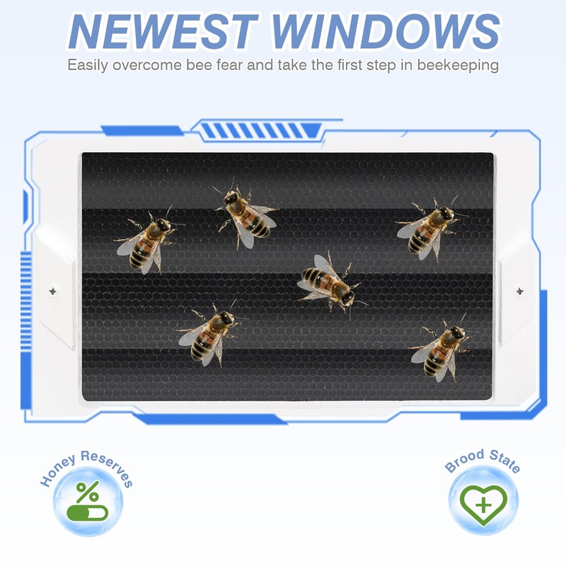 BeeTech Newest Windows 8 Frame Bee Hive Boxes Starter Kit