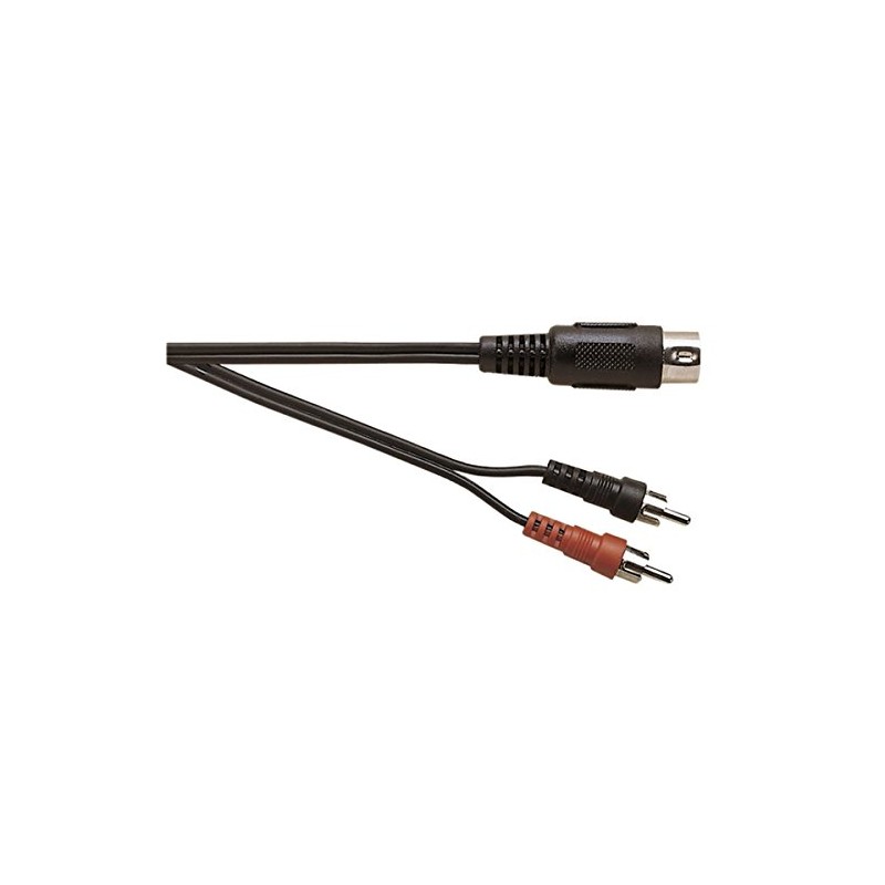 5 Pin din Male Plug to 2 x RCA Phono