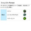 Forest 10ml Aroma Blend Incent Essential Oil 10ml