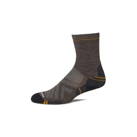 Smartwool Hike Targeted Cushion Mid Crew Socks - Socks for Men - Strategic Mesh Zones - Targeted Cushionings Taupe MD (Men's Shoe 6-8.5) One Size