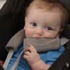 Travel Bug Baby 2 Piece Car Seat Strap Cover Teether