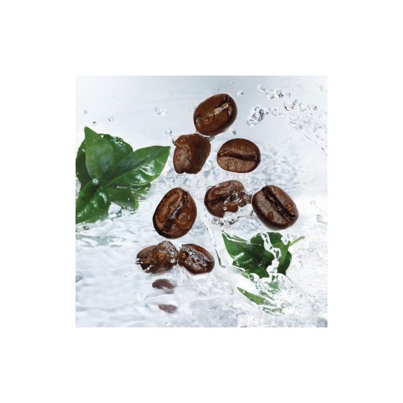 Gel de Ducha Maxi Granos de cafe 400ml Yves Rocher