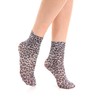 Gi&Gi 6 Pairs Ladies 60 Denier Medium Length Purple &