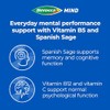 Berocca Mind Effervescent Tablets, Citrus, 15 Tablets x 1 Pack
