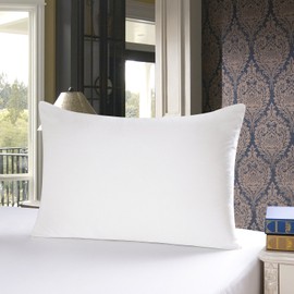 townssilk Both Side 100% 19mm Silk Pillowcase Queen Size Pillow Case Cover with Hidden Zipper Naturalwhite