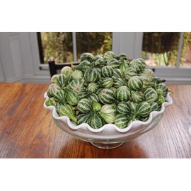 Tennessee Dancing Gourd Seeds,A.k.a. Dancing Gourd. Open-pollinated.(100 Seeds)