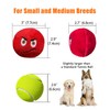 Squeaky Dog Toys, Stuffed Plush Puppy Toy Balls to Keep