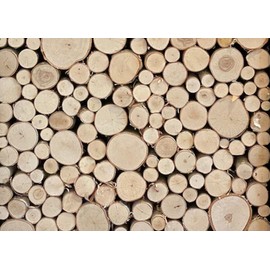 Wilson 7"-9" Decorative White Birch Fill-A-Space Logs, Natural Home Décor - 1.5"-4" Dia. (1 Sq. Ft)