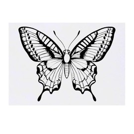 'Open Winged Butterfly' Temporary Tattoo - Water Resistant, Skin-Safe, Non-Toxic Transfer (TO00079357)