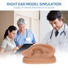 SimCoach Modelo de oreja de acupuntura, réplica de oreja artificial