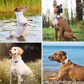 FEimaX - Collar de perro impermeable con ajustable y resistente al olor, collares de perro fáciles de limpiar para perros grandes, medianos y...      