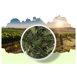 Organic Natural Pure Premium Humulus Lupulus,Japanese hop Extract Powder-10.58 Ounce (300gram)