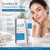 B5 Moisturizing Barrier Cream for Face – Soothing Hydration Care