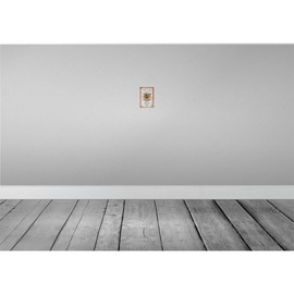 vianmo Blechschild 12x18cm Selkirk Rex Katze Ruhig Deko Geschenk Metall Schild