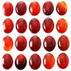 mookaitedecor 10pcs 22x30mm Natural Carnelian Crystal Cabochons for Jewellery Making