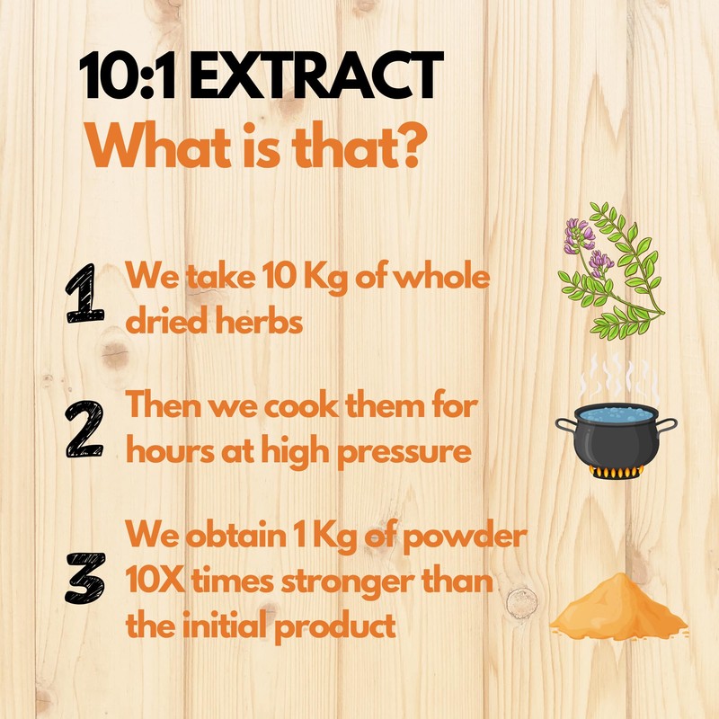 HYBRID HERBS - Astragalus Powder | High Potency Supplement -