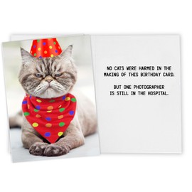 Funny Cat Birthday Card for Women, Men, Coworkers, Friends & Family - no cats were harmed in the making of this card.