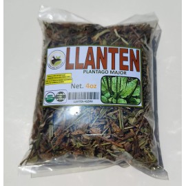 Mexican Herbs & root Llanten 4oz Plantago Mayor Plantein Hierba Te/ Natural Herbal Infusion wildcraft