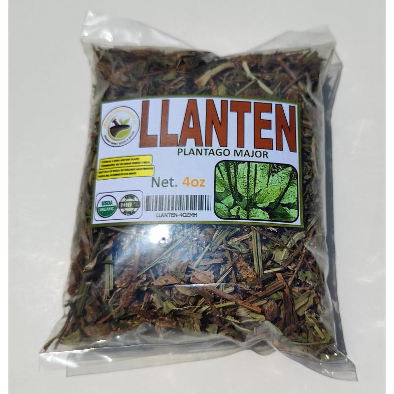 Mexican Herbs & root Llanten 4oz Plantago Mayor Plantein Hierba