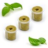 Kalapanta - Seedless Refill Compatible with Plantui Smart Garden, Coreless