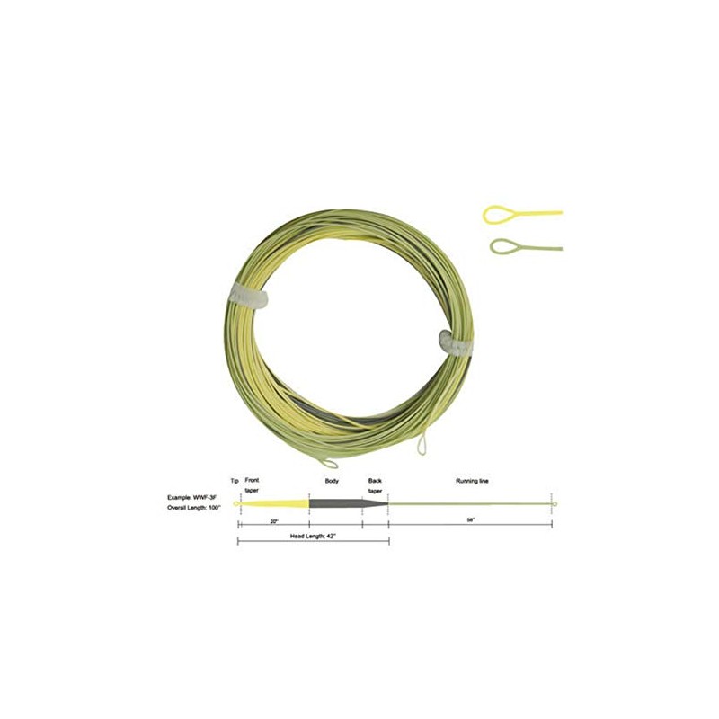 (WWF1F) - Aventik Long Front Taped Fly Line Sure Cast